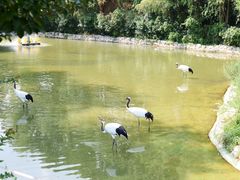 -杭州野生动物世界