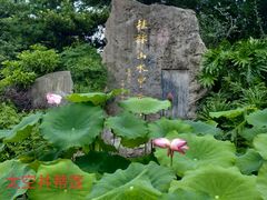 -南溪山景区