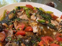 -生态苑农庄(十里画廊遇龙河店)