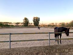 -月河湾马术俱乐部(朝阳店)