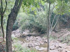 -广州白江湖森林公园