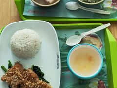 -上海野生动物园老虎餐厅