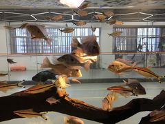 -弓舍射箭俱乐部(高新总店)