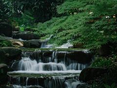 -中国茶叶博物馆(双峰馆区)