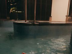-英德宝晶宫天鹅湖茶语温泉