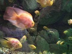 -苏州海洋馆