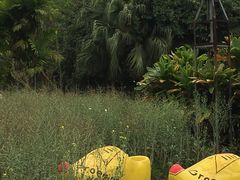 -南沙蒲洲花园