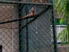 -广东茂名森林公园