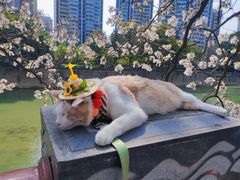 -红星桥(地铁站)