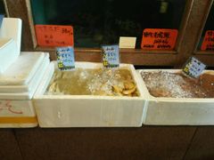 -国家五钻酒家·西樵旺阁渔村(西樵店)