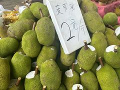 -西双版纳傣族园
