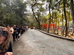 -海南分界洲岛旅游区