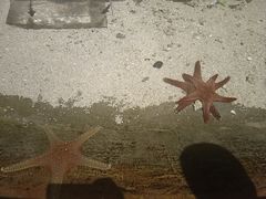 -江和美海洋公园