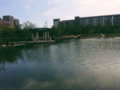 -河南财经政法大学(郑东校区)