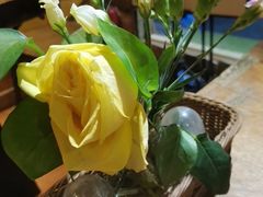 -盘炉forenza·云贵川融合小食堂 ( 钟楼中柳巷店)