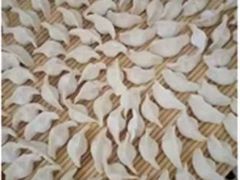 -佳禾月嫂育儿嫂(拱墅店)