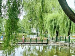 -黛秀湖公园
