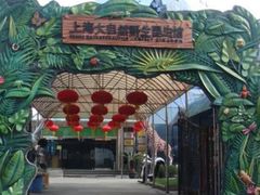 -上海大自然野生昆虫馆(东方明珠·爬宠昆虫探索中心)