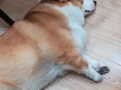 -韩通韩国语学院(虹口校区)