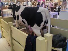 -红星前进面包牛奶公司(君太店)