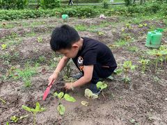 -前小桔亲子创意农场·草莓采摘·露营烧烤