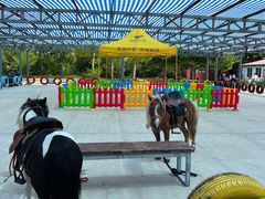 -渔岛海洋度假区