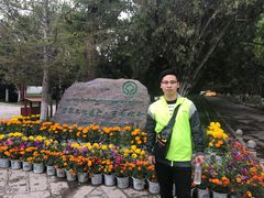 -罗布林卡