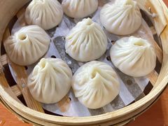 -莱莱小笼·乔艾