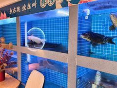 -呷湘厨·鱼汤捞饭·剁椒鱼头·辣椒炒肉(国家会展中心店)