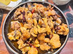 -志晖园圆子鸡·辣子鸡(阳光店)