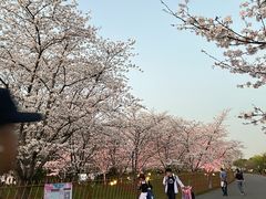 -自然谷恐龙园