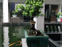 -东莞市可园博物馆