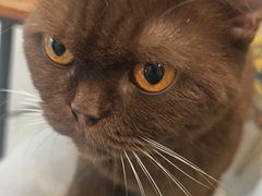 -平行世界·猫咖(首经贸店)