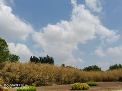 -大望京公园