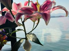 -柳莺湖上·湖景餐厅·江南菜(西湖店)