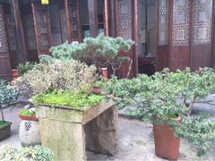 高桥古镇-高桥古镇