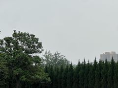 -汉长安城未央宫国家考古遗址公园