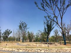 -盘龙城国家考古遗址公园