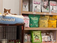 -四月宠物医院·猫专科·心脏专科·内科(转塘店)