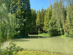 -桤木河湿地公园