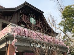 -星巴克臻选(思南公馆店)