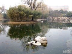 -紫竹院公园冰场