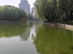 -团结湖公园