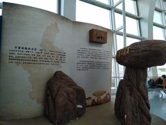 -银川河东国际机场