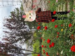 -中关村门头沟科技园