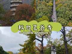 -灵谷景区
