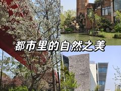 -青枫公园