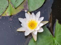 -黄兴公园
