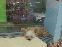 -FAELING PETS美天灵宠物(合生汇店)