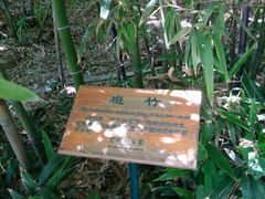 -紫竹院公园冰场